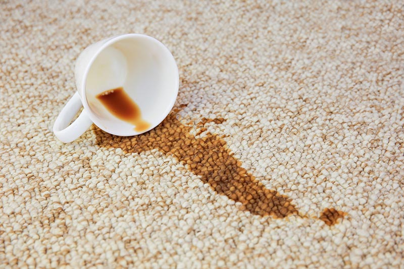 Nettoyage de tache de café sur une moquette